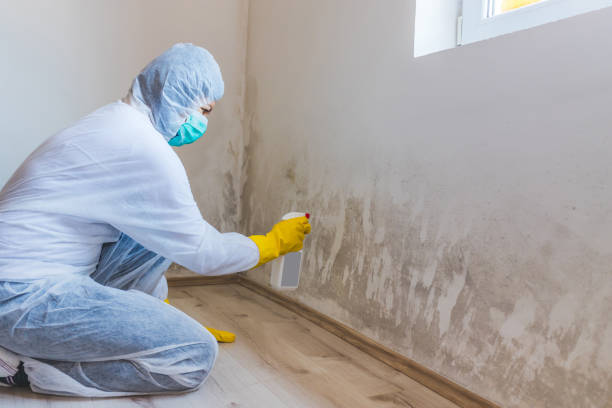 Hvac And Air Duct Mold Remediation inspection of HVAC system in Broomfield