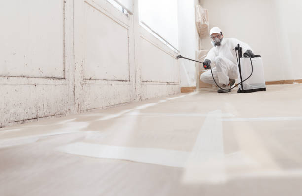 Black mold remediation team in Broomfield